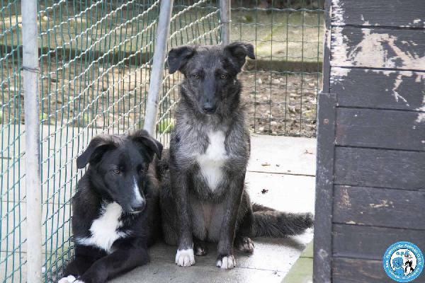 Nina, Nana e Noah: il club degli invisibili Foto 4